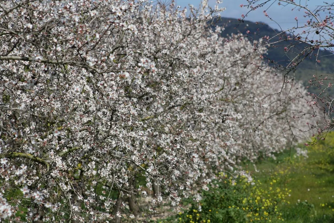 253 Finca Calderitx Etv3113 By Mallorca Charme Ariany